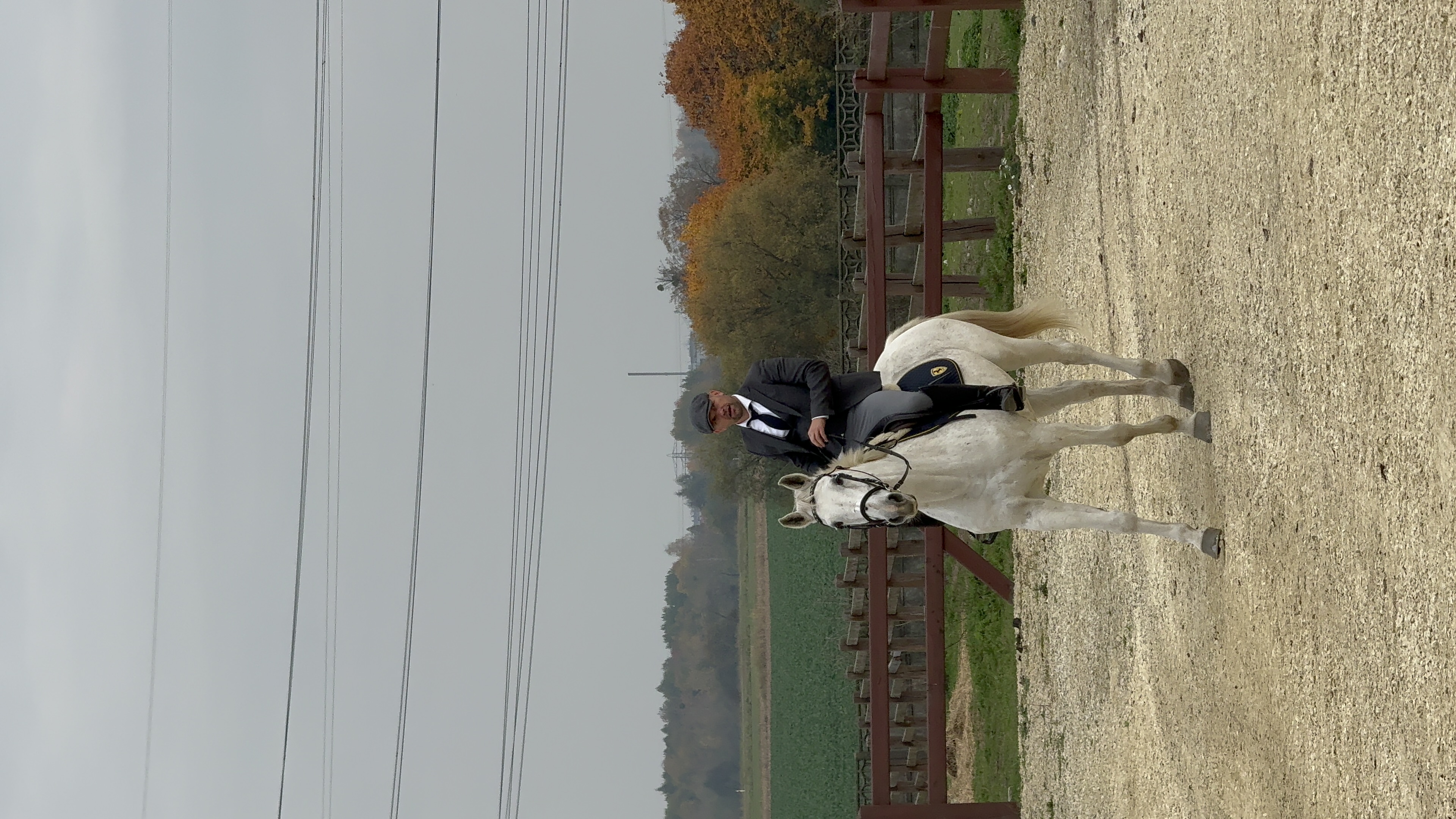 Rider with white horse